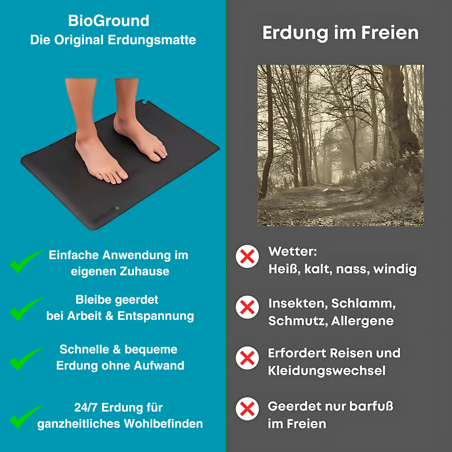 BioGround – Die Original Erdungsmatte