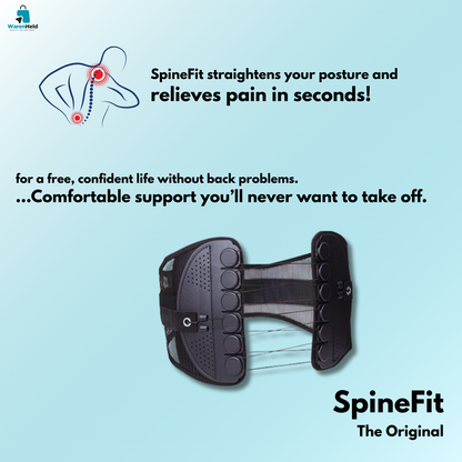 SpineFit - Das Original